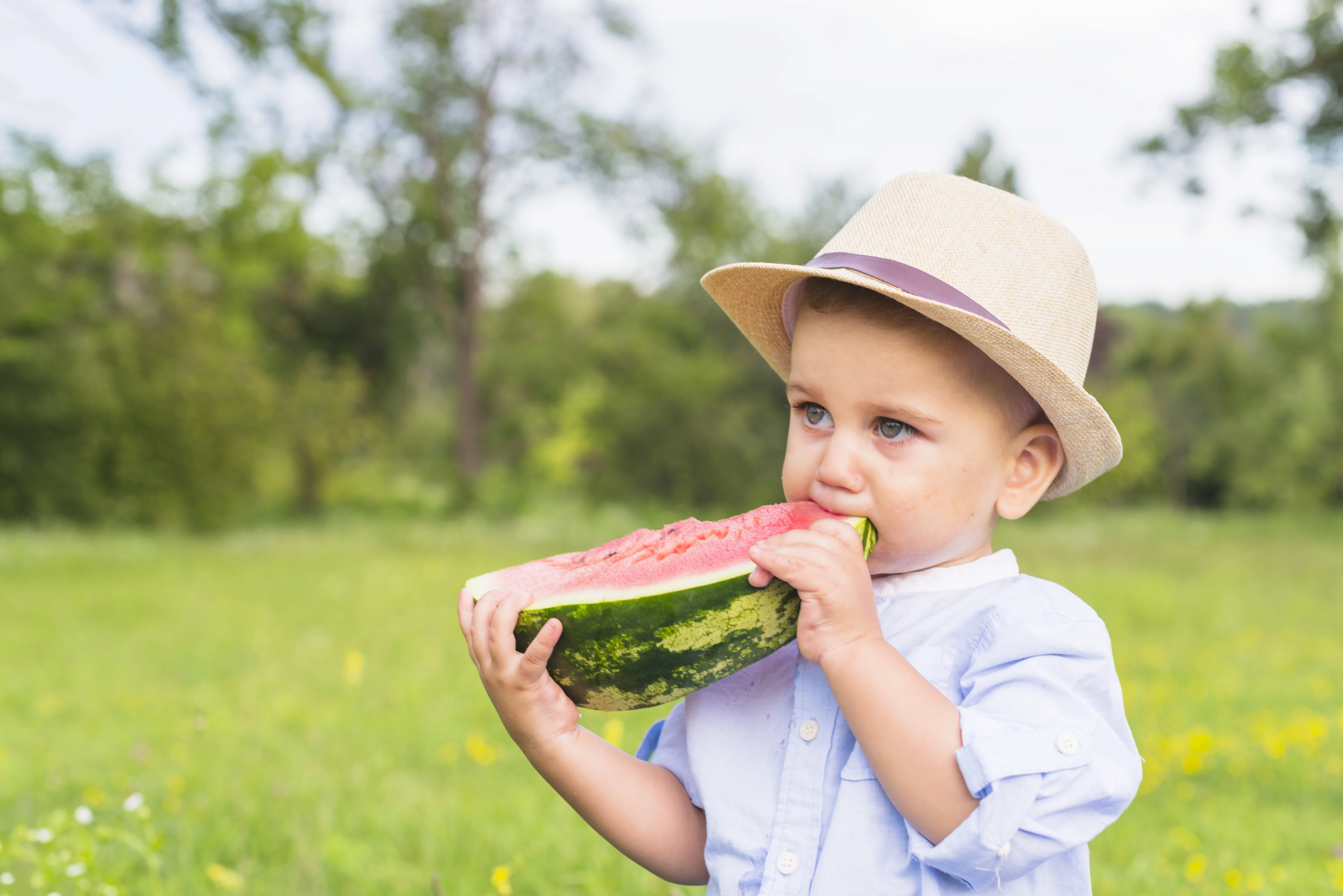 Изображение от <a href="https://ru.freepik.com/free-photo/close-up-of-boy-eating-watermelon-standing-in-the-park_3094569.htm#query=%D0%BC%D0%BE%D0%B6%D0%BD%D0%BE%20%D0%BB%D0%B8%20%D0%B4%D0%B5%D1%82%D1%8F%D0%BC%20%D0%B4%D0%B0%D0%B2%D0%B0%D1%82%D1%8C%20%D0%B0%D1%80%D0%B1%D1%83%D0%B7&position=30&from_view=search&track=ais">Freepik</a>